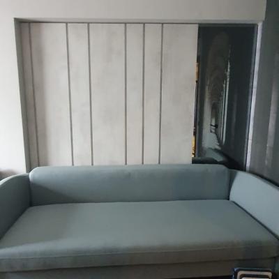 Placare perete camere de zi (living) pe comanda